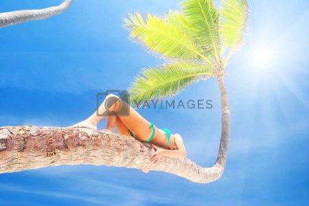 Девушка лежит на Пальме