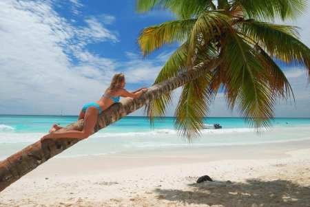 Девушка лежит на Пальме