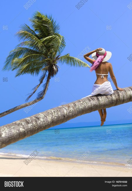 Девушка на Пальме