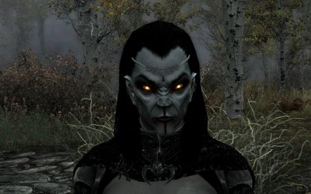 Лорд вампир Данмер