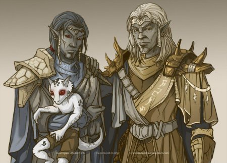 The Elder Scrolls данмеры