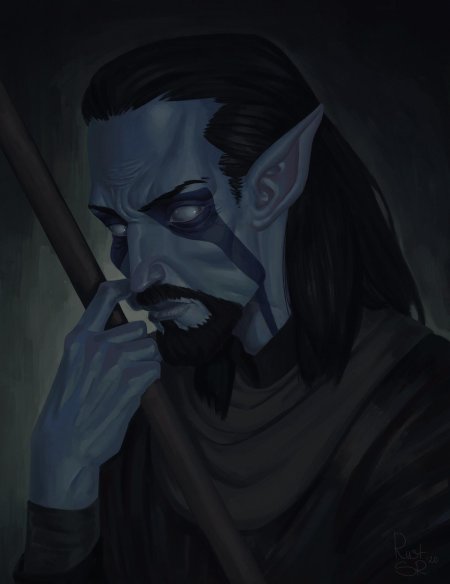 Полукровка Норд Данмер