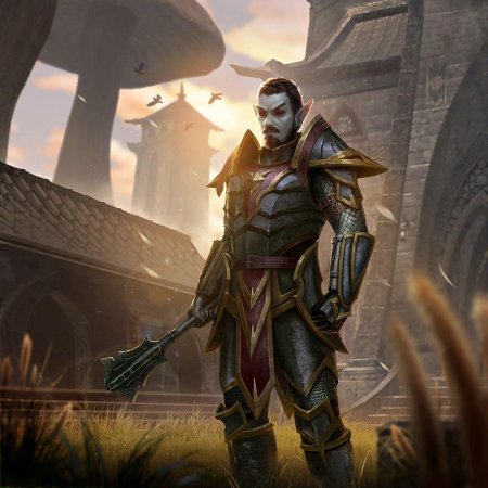 The Elder Scrolls данмеры