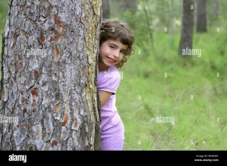 Девушка прячется за деревом