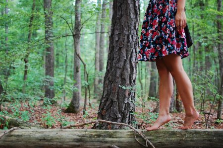 Лес на ноге