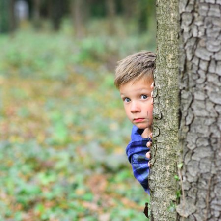 Выглядывает из-за дерева