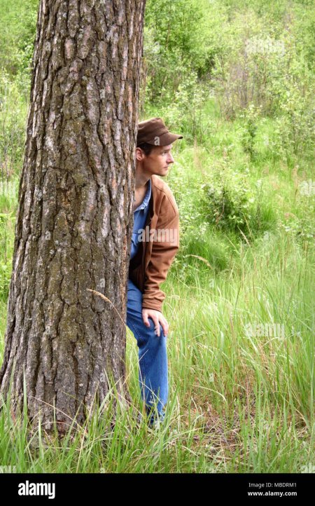 Человек за деревом