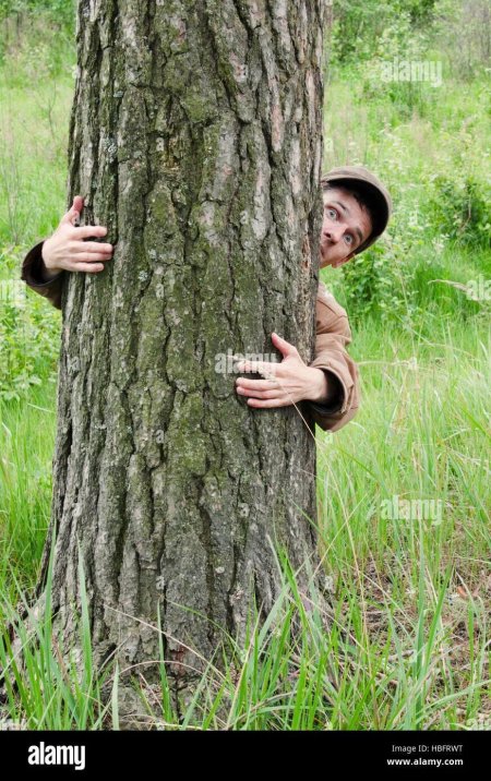 Выглядывает из-за дерева