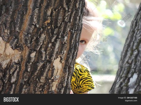 Девушка выглядывает из за дерева фото