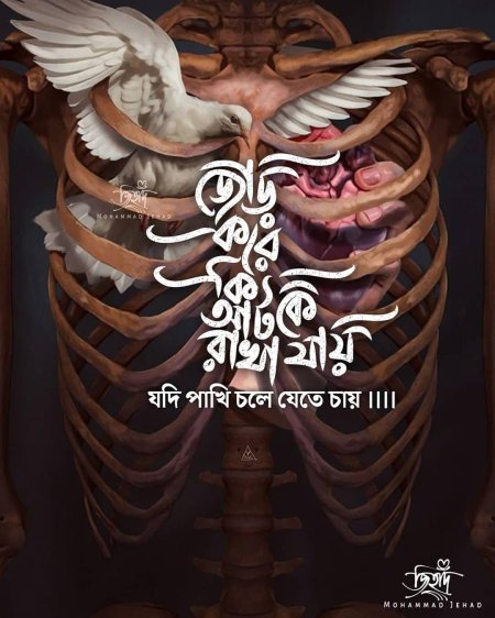 В скрытая грудная клеттка