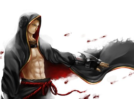 Токугава Иэясу Фейт