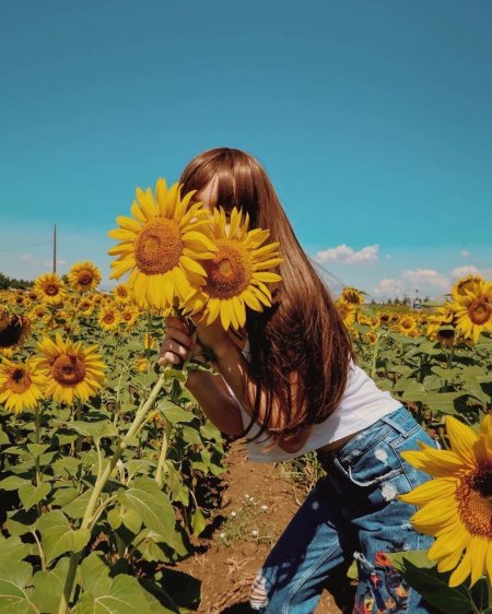 Девушка в подсолнухах