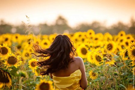 Фотосессия в подсолнухах