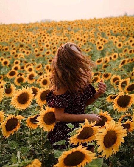 Девушка в подсолнухах