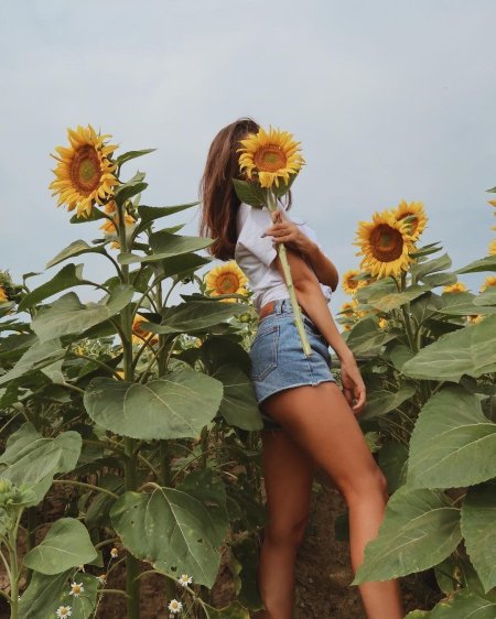 Девушка в подсолнухах