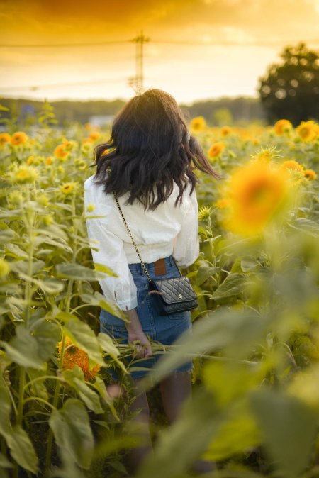 Девушка в подсолнухах