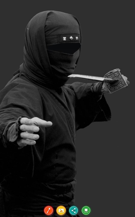 Япония ниндзя ниндзюцу