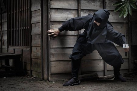 Ниндзя прячется