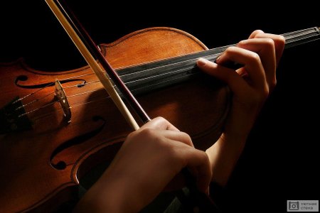 Руки скрипача