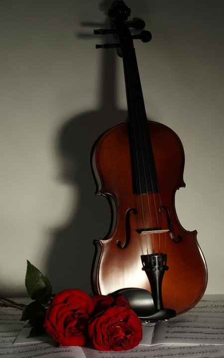 Красивая скрипка