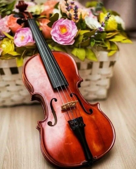 Красивая скрипка