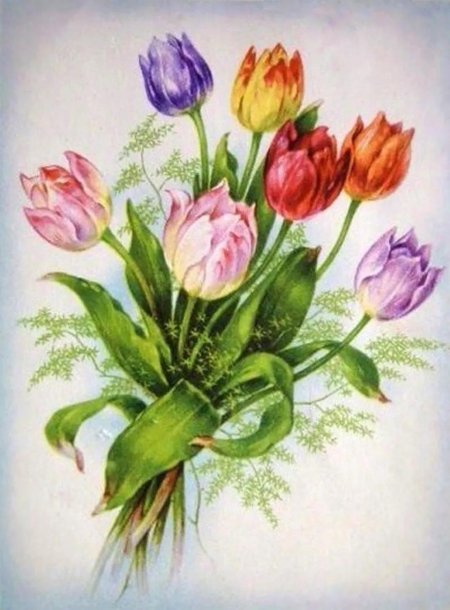 Тюльпаны акварелью