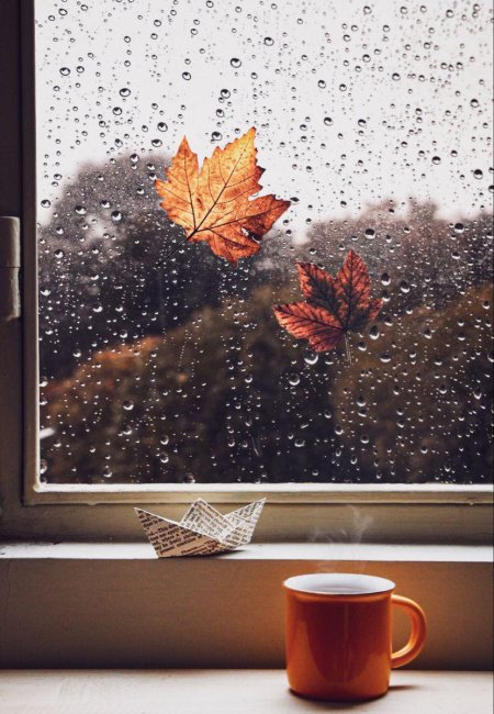 Скоро к нам в окошко постучит осень в золотом промокшем платье