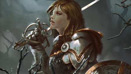 Девушка в доспехах