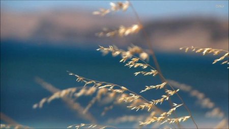 Природа Вдохновение