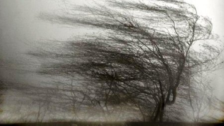 Холодный ветер