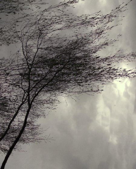 Ветер Эстетика