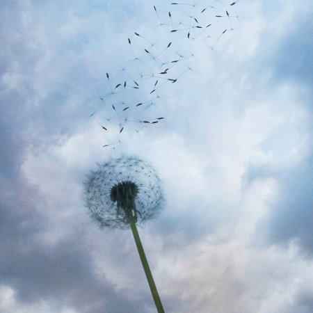 Ветер Эстетика