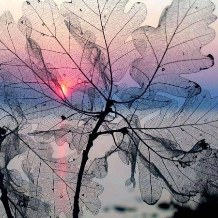 Ветер Эстетика