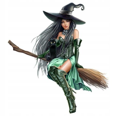 Метла ведьмы