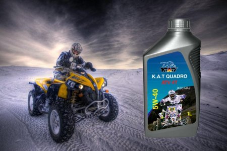 Квадроциклы BRP покатушки