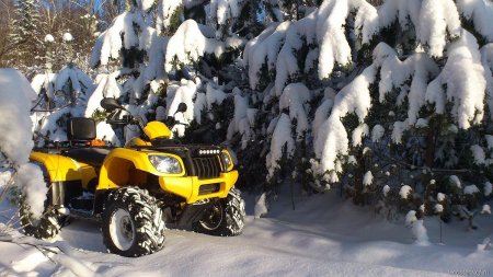 Зимний квадроцикл