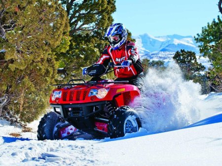 Квадро снегоход