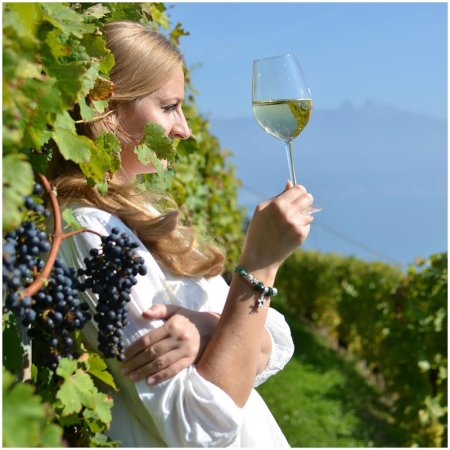Дегустация вина на винограднике