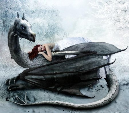 Девушка и дракон