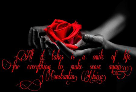 Роза в руке