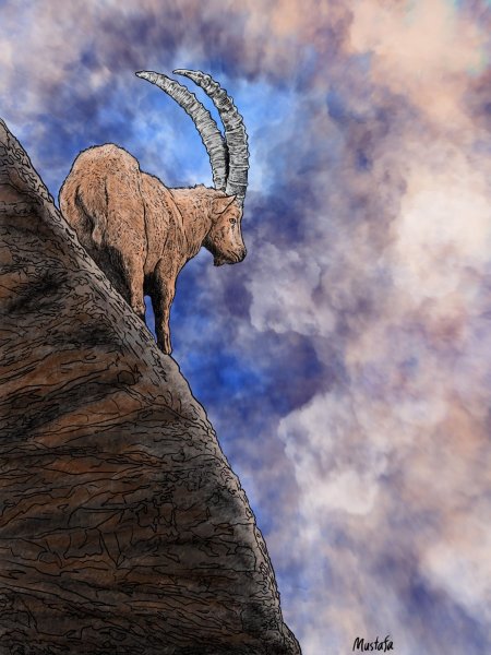 Снежная коза