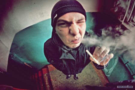 Профессиональный распиздяй