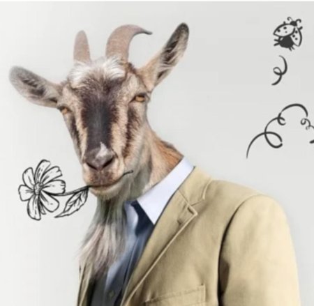 Мужик козел