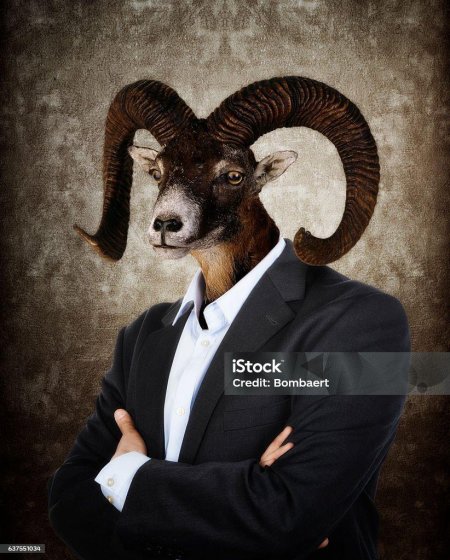 Козел в пиджаке