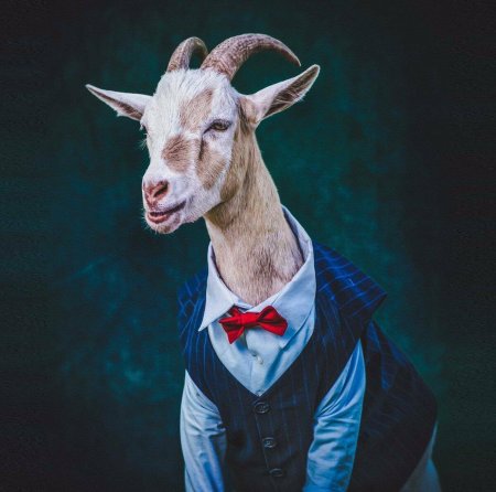 Костюм козла