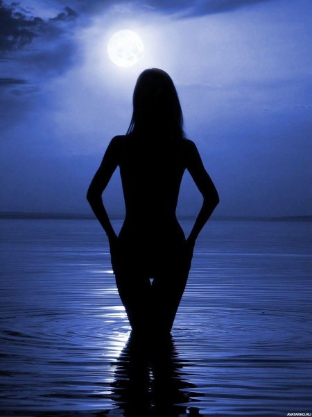 Силуэт женщины