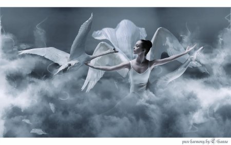 Ангелы летают