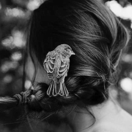 Птица с волосами