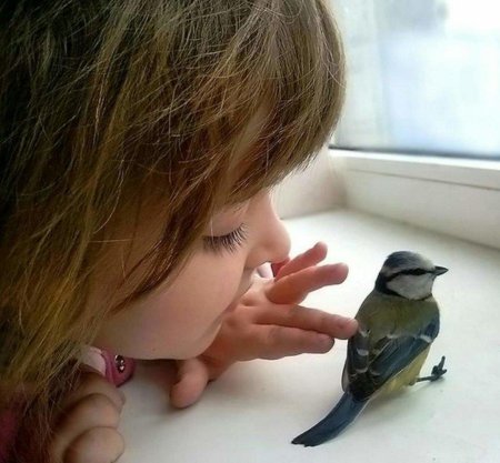 Птицы для детей