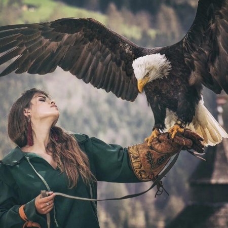 Орел и орлица любовь